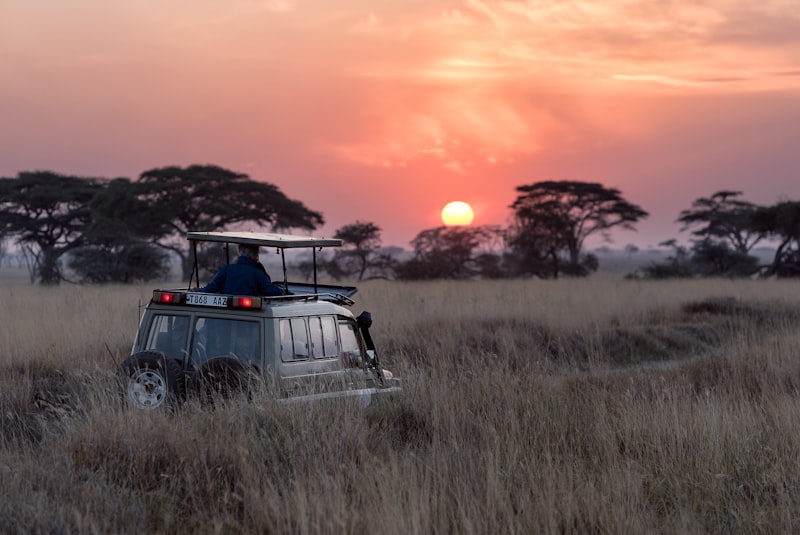 The Ultimate Packing List for a Safari Adventure